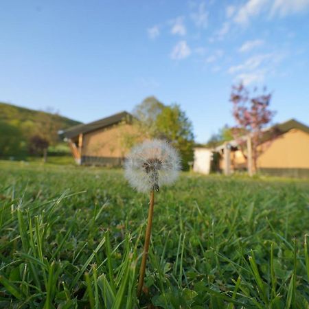 Safaritent Op Camping Berkel Bockholtz Exteriér fotografie