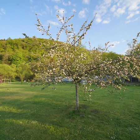 Safaritent Op Camping Berkel Bockholtz Exteriér fotografie