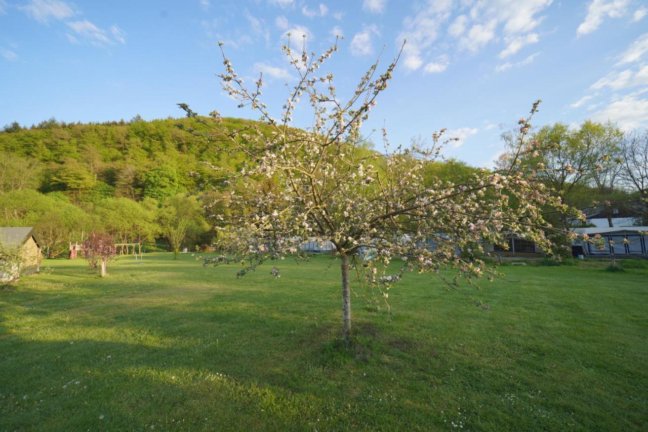 Safaritent Op Camping Berkel Bockholtz Exteriér fotografie